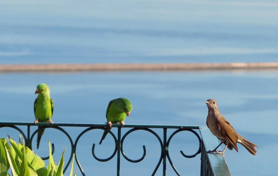 ホテル ポウザーダ ドゥ ピラール サルバドール エクステリア 写真